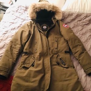 Olive green Canada Goose